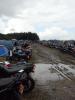 Klik for at vise 20090220_0043_t1.jpg